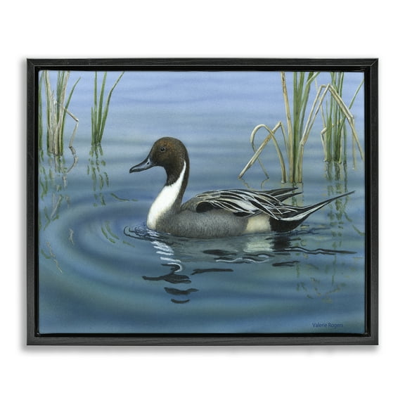 Stupell Industries Pintail Loon in Pond Animals Painting Black Floater Framed Canvas Art Print Wall Art, 21 x 17
