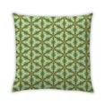 thumbnail image 1 of Ahgly Company Indoor Square Contemporary Throw Pillow, 18 inch by 18 inch, 1 of 5