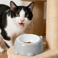 thumbnail image 4 of ToyKingdee Ceramic Elevated Cats Bowls, Wide Raised Cats Bowls, Shallow Whisker Friendly Food & Water Dish, Anti Vomit, Microwave & Dishwasher Safe, 4 of 6