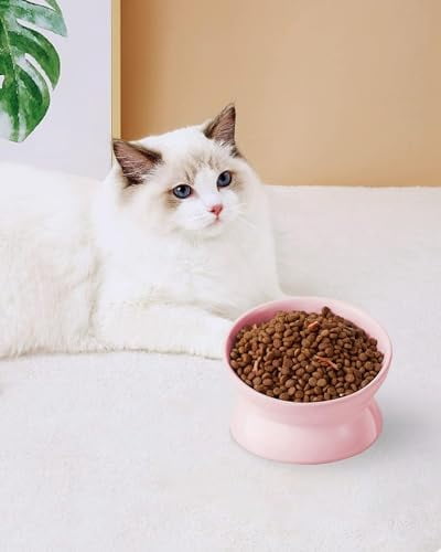 Elevated Cat Food Bowl, 5 Oz Ceramic Raised and Tilted Water Bowl, Anti Vomiting and Protect Pets' Spines Dishes for Small Dog, Fat Faced Cat, Kitten (Pink, 2 Pack)