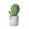 thumbnail image 3 of Audit, Lisa 20x24 Black Modern Framed Museum Art Print Titled - Mixed Greens Succulent VI, 3 of 5
