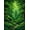Green, Pattern 2, variant on ODIKA 4'x6' Machine Washable Non-Slip Area Rug, Lush Moss High Traffic Rug, Green, 24654