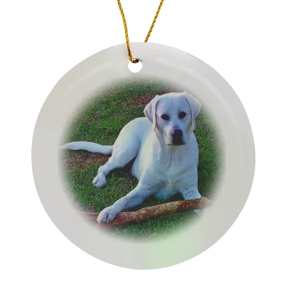 3drose, White Labrador Retriever, Circle Porcelain Ornament