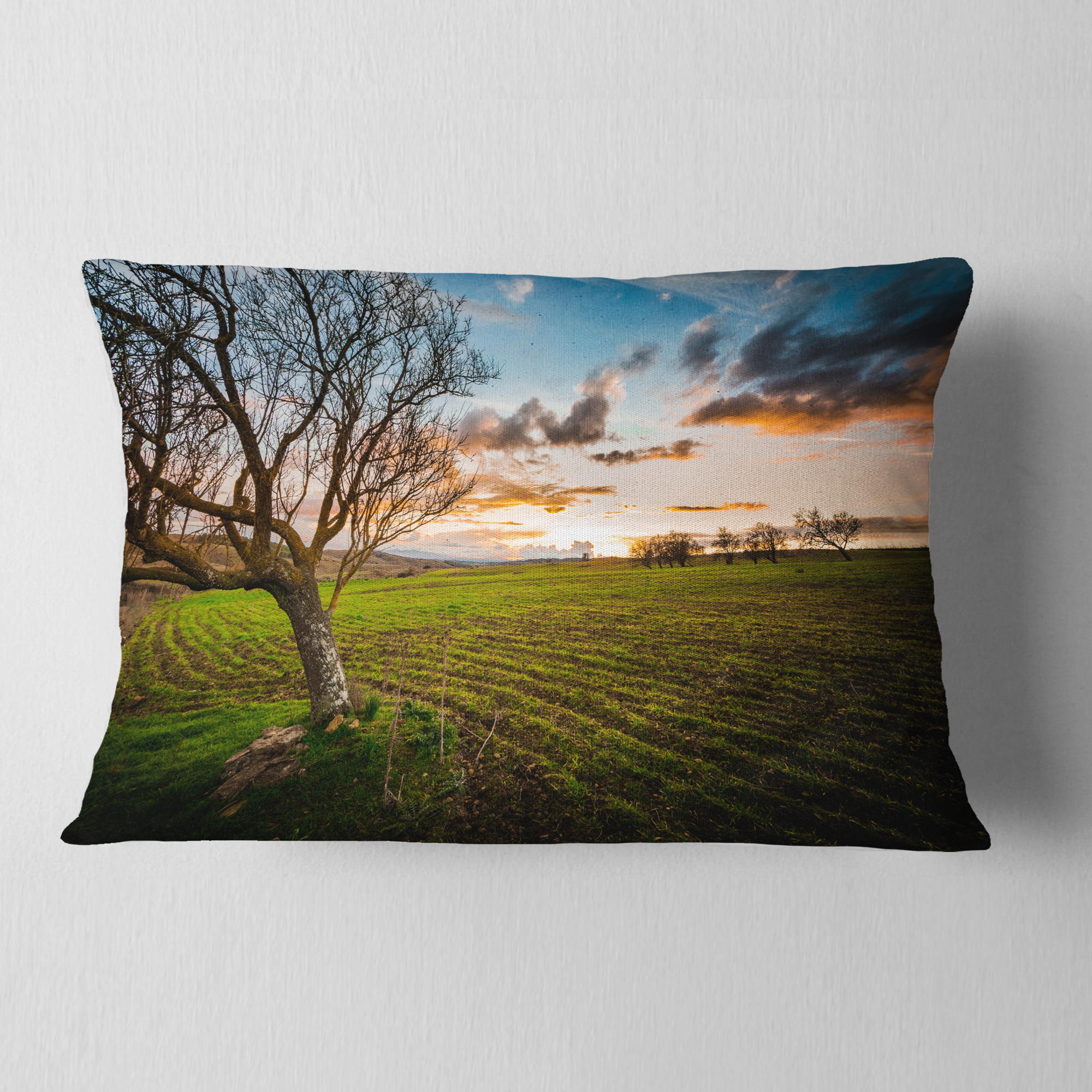 Designart Sunset in Sardinia Grassland - Landscape Printed Throw Pillow - 12x20