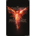 thumbnail image 4 of Harry Potter - Order of the Phoenix Magic Wall Poster with Push Pins, 14.725" x 22.375", 4 of 6