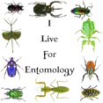 thumbnail image 3 of CafePress - I Live For Entomology 1 White T Shirt - Men's White Classic Cotton T-Shirts, 3 of 4