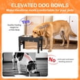 thumbnail image 4 of Cuencos elevados para perros LAKIPETN con 2 cuencos de acero inoxidable, 4 of 9
