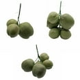 thumbnail image 4 of Fruit Ornament Artificial Coconuts Fake Coconuts Farmhouse Decorations Simulated Coconuts Artificial Fruit Props, 4 of 6