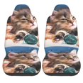 thumbnail image 2 of Fotbe Playful Cat Pattern Automotive Seat Covers for Cars Trucks and SUVs – Car Seat Covers for Front Seats,Protective Seat Covers,Vehicle Seat Covers, Set of 2, 2 of 9