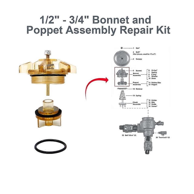Bonnet and Poppet Repair Kit for 765-1 PVB 1In and FVB 1-1/4In