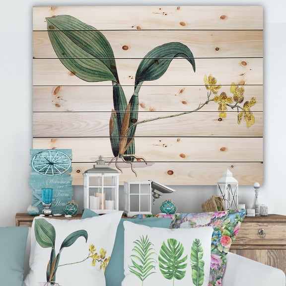 Designart 'Ancient Plant Life VI' Traditional Print on Natural Pine Wood