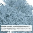 thumbnail image 4 of Uxcell 3.5 OZ Fake Moss Preserved Reindeer Moss Artificial Moss Lichen Centerpieces Decor Faux Moss Light Blue, 4 of 6
