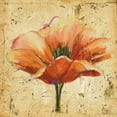 thumbnail image 2 of Pinto, Patricia 20x20 Black Ornate Wood Framed with Double Matting Museum Art Print Titled - Poppy III, 2 of 4