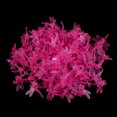 thumbnail image 2 of 100Pcs Garden Tools Stem Clips Grow Upright Orchid Plastic Mini Stalks Flower Rose Red, 2 of 6