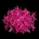 thumbnail image 1 of Soportes Para Plantas, 100 Piezas Clips De Tallo Para Jardín Con Agarre Fuerte Para Tomates, Pepinos, Orquídeas, Melones, Calabazas, Pimientos, Flores Y Plantas Enredaderas., 1 of 7
