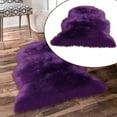 thumbnail image 2 of POINTERTECK Solid Color Plush Rug Office Home Fluffy Area Rug Bedroom Soft Furry Durable Rug, 2 of 6