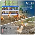 thumbnail image 6 of EuKer 10-Holes Chicken Nesting Box, Heavy-Duty Metal Laying Boxes for Backyard, Farms, Chicken Coop, Blue, 6 of 7