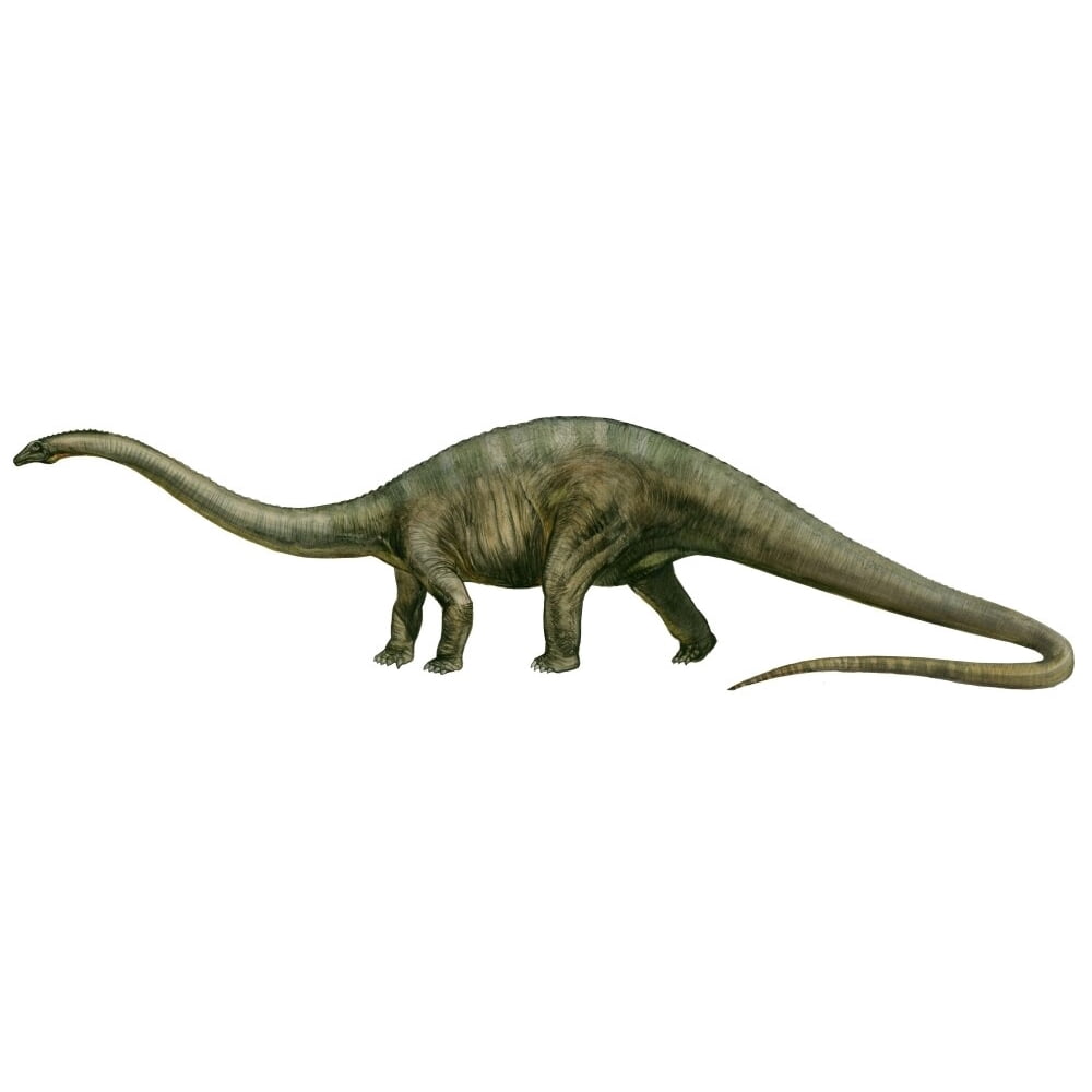 diplodocus jurassic
