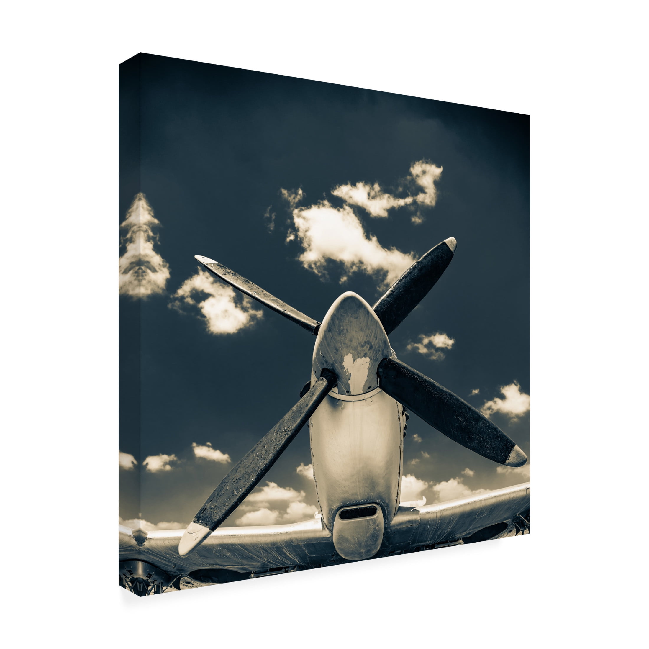 Trademark Fine Art Lari Haras Missing The Sky Canvas Wall Art