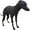 Black, variant on UOSIA Italian Greyhound Sweater Elastic Comfortable Cold Weather Dog Coat Whippet Pajamas Jumpsuit