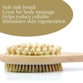 thumbnail image 3 of Daylee Naturals Anti-Cellulite Exfoliation Brush and Lymphatic Massager, Brown, 1 Piece, 3 of 4