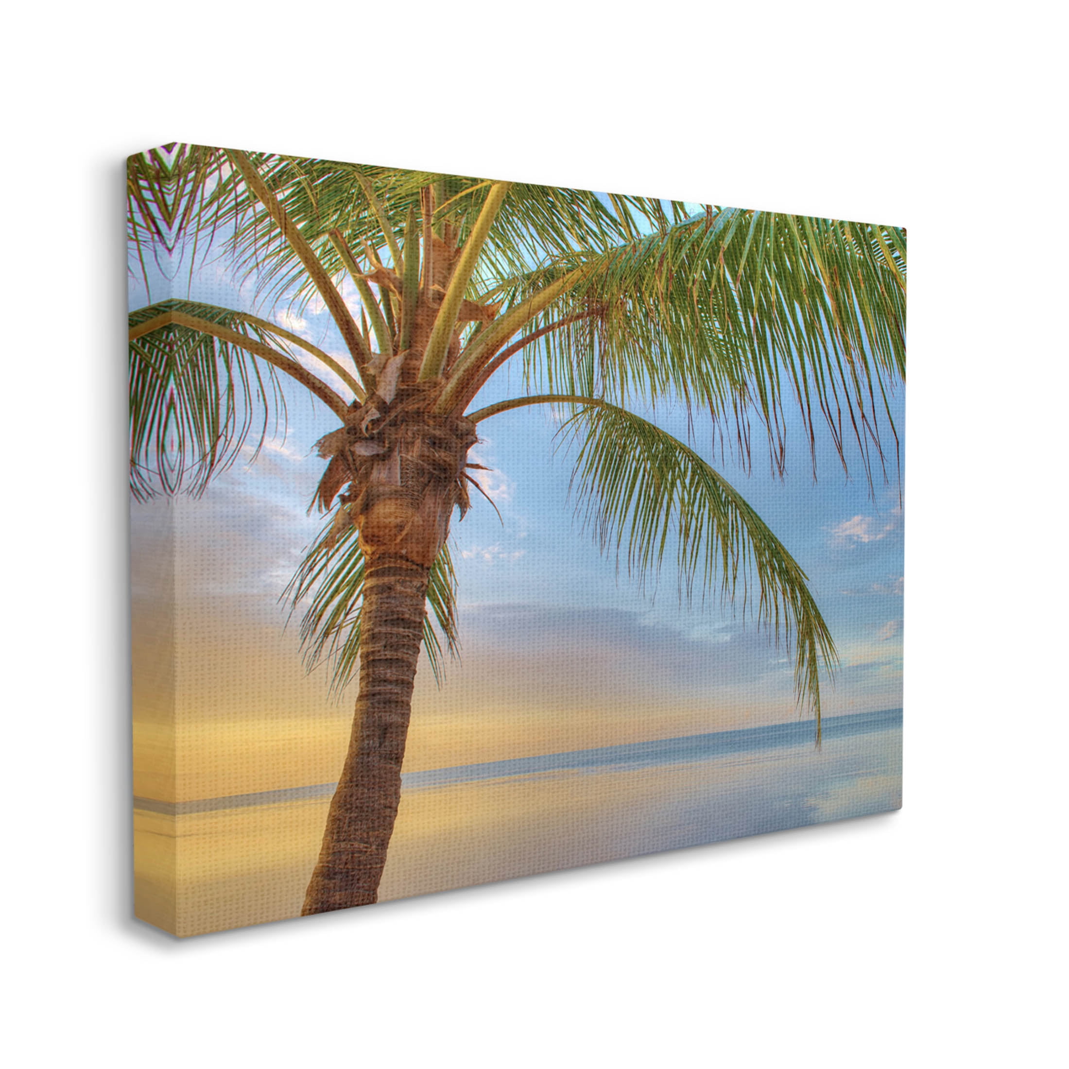 Sunrise Palm Tree Sky Reflection Coastal Photograph Gallery Wrapped Canvas Print Wall Art