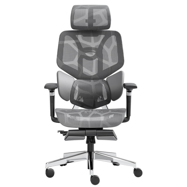 Hbada E3 Ergonomic Office Chair Elastic Adaptive Adjustment Back Lumbar