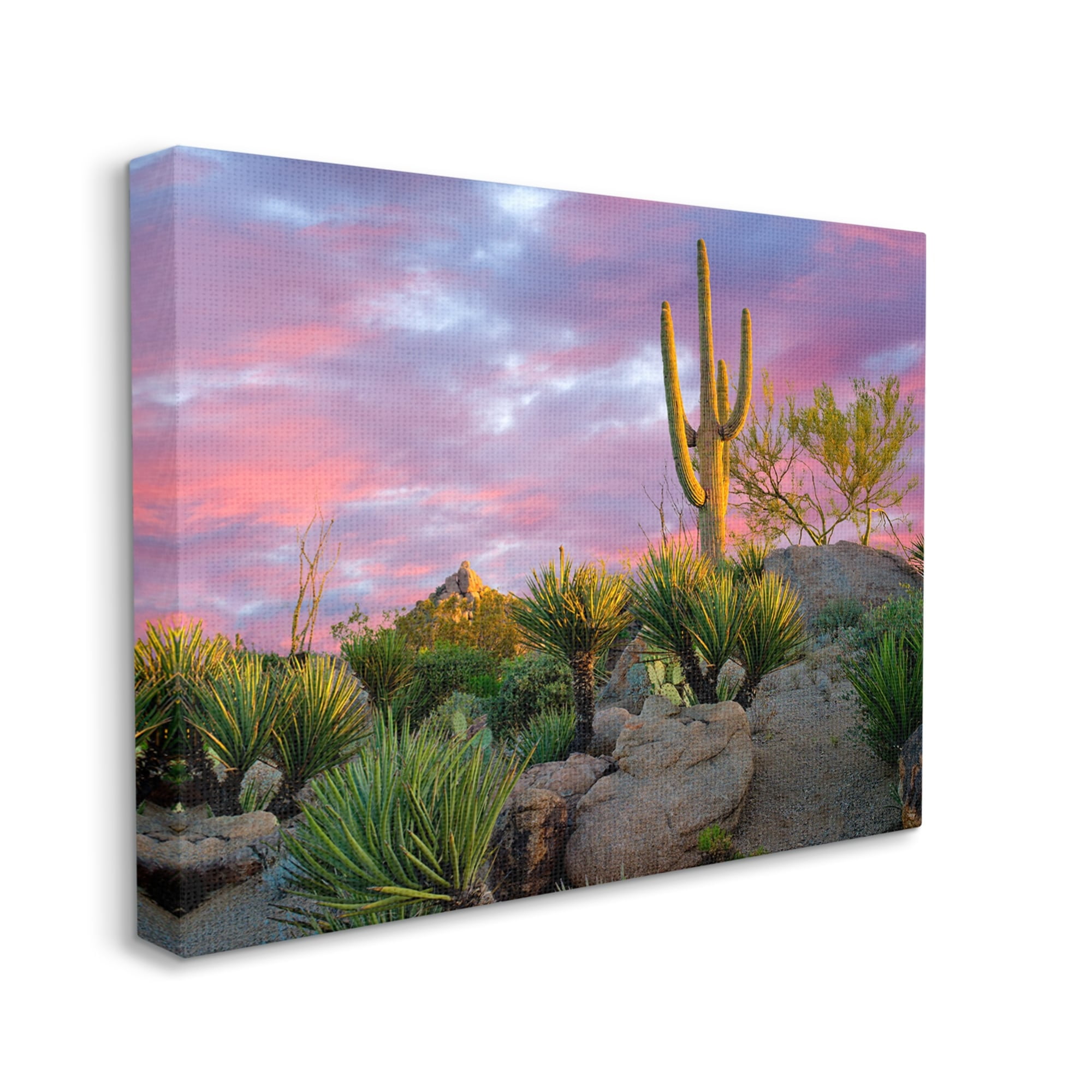Stupell Industries Pink Sunrise Arid Cactus Plants Landscape Photography Gallery Wrapped Canvas Print Wall Art