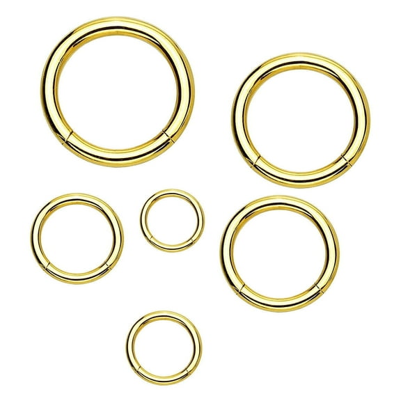 Luxe Modz PVD Gold G23 Titanium Hinged Clicker Segment Ring Lip Piercing Jewelry Men Women