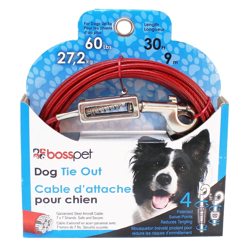 Boss Pet PDQ Red TieOut with Spring Vinyl Coated Cable Dog Tie Out