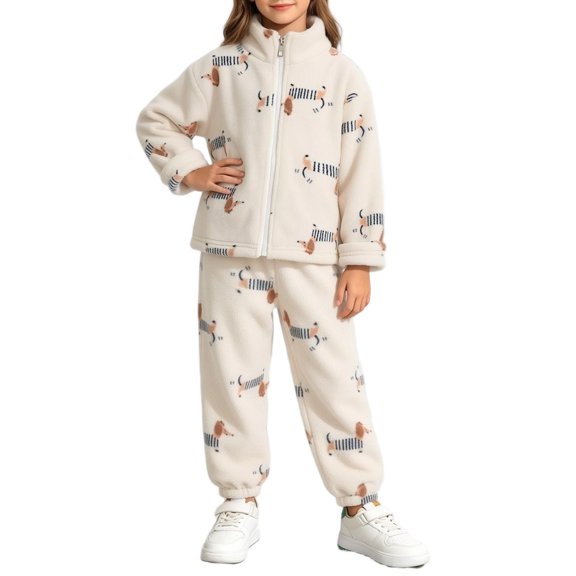 QSXADF Kid's Winter Fuzzy Fleece Outfit Sweatsuit Set Solid Long Sleeve Loose Zip Fleece 2 Piece Set For Fall Winter Casual Outerwear Children Clothing Set