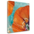 thumbnail image 2 of Tangletown Fine Art 'Poppies in the Sky I' Graphic Art Print on Wrapped Canvas, 2 of 2