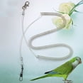 thumbnail image 5 of Visland Parrot Bird Leash Flying Training Rope Straps Parrot Cockatiels Starling Budgie, 5 of 6
