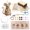 Color 1, variant on Patchwork Mouse DIY Kit Handmade Sewing Craft Set Cute Mouse Ornament DIY Kit with Floral Fabric Stuffing Button for Adult Beginner Present for Holiday