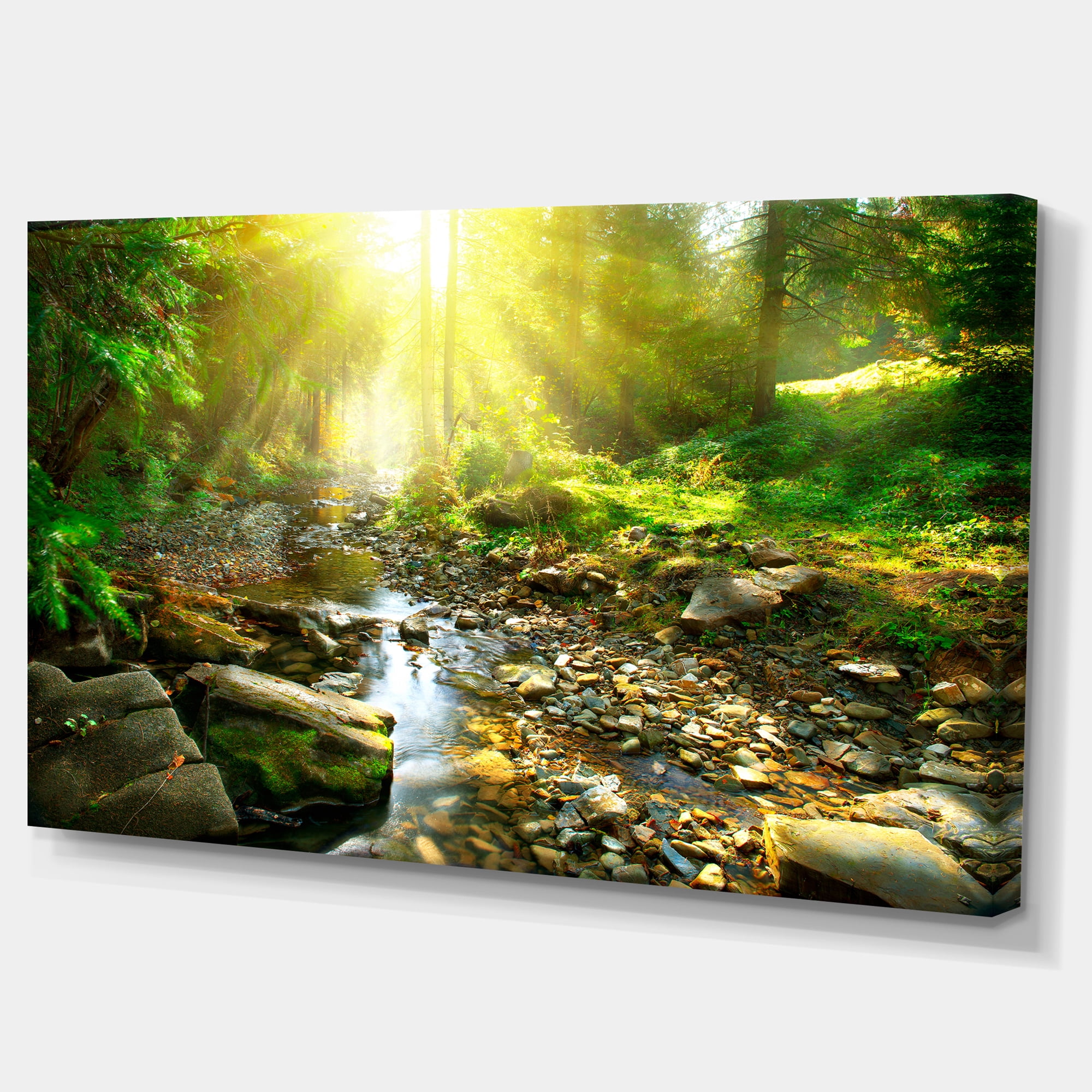 Designart 'Mountain Stream in Forest ' Landscape Photography Canvas Print