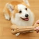 thumbnail image 5 of Juguete masticable duradero para perros | Palito de dentición de madera natural y plástico | Desodorizante y resistente al desgaste | Diseño hueco para rellenar snacks | Limpieza dental y alivio de l, 5 of 6