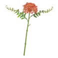 thumbnail image 1 of Flor artificial Jardín de plantas Decoración para hogar Bricolaje Jardinería - Amarillo rojo, 1 of 9