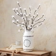 thumbnail image 5 of LED Lighted Poseable Branch Decor, 5 of 9
