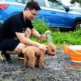 thumbnail image 2 of Ensemble de Douche Portable pour Camping Extérieur Douche Rechargeable, 2 of 7