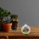 thumbnail image 2 of 12Pcs Household Decorative Globe Terrarium Succulent Hanging Planter Clear Glass Terrarium With Hook, 2 of 4