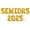 Gold, variant on Letter Balloons - SENIORS 2025 16" Inch Alphabet Letters Foil Mylar Balloon Graduation Party Banner (Rose Gold)