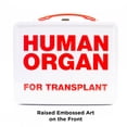 thumbnail image 3 of Caja de almacenamiento para órganos humanos AQUARIUS, caja grande y divertida, 3 of 8