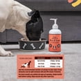 thumbnail image 4 of Suplemento de aceite de pescado Natural Dog Company Skin & Coat 500 ml, 4 of 9