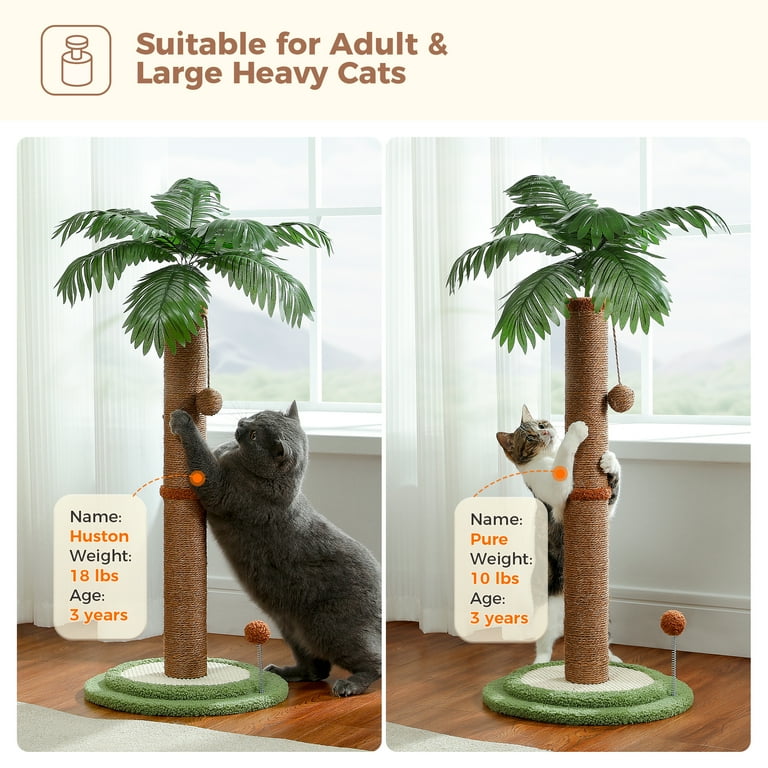 Pawz Road 34" Coconut Palm Cat Scratching Post, Brown photo 6