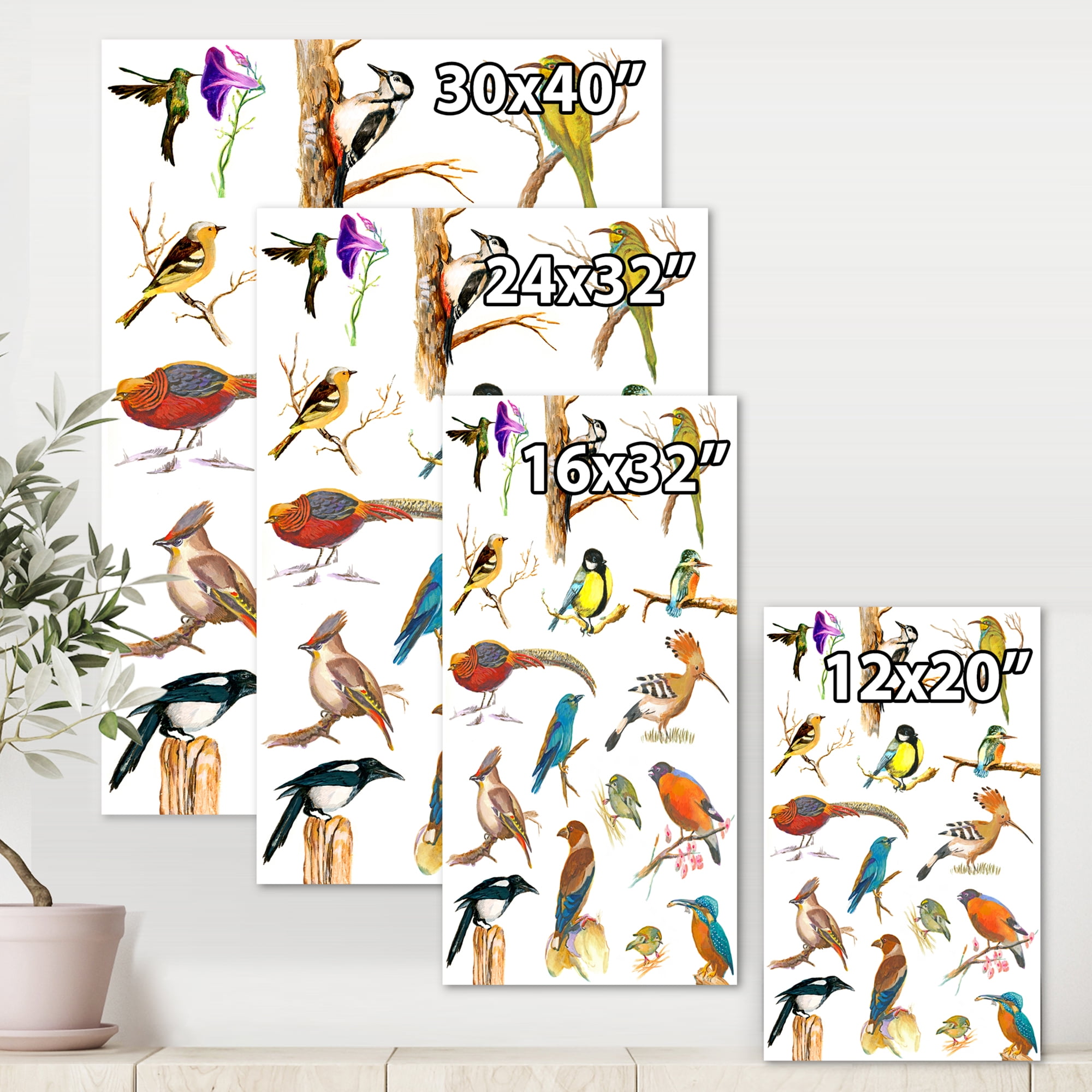Designart ' Vital Colored Birds Plancard ' Traditional Canvas Wall Art Print