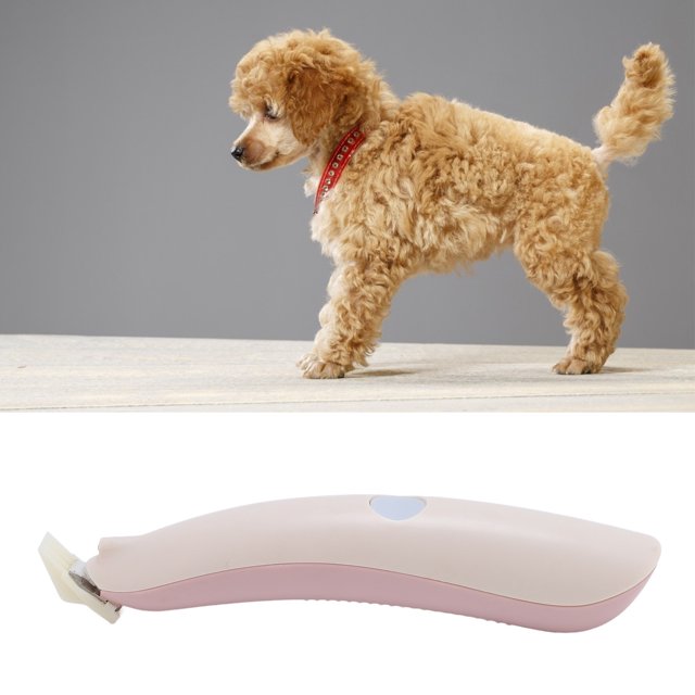 Dog Clippers for Grooming, Rechargeable Low Noise Pet Shaver with LED Light 2 Speed Hair Clipper for Grooming Cat Hair Clippers Shaver for Paws Eyes Ears Face Rump