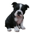 thumbnail image 1 of Hi-Line Gift Ltd Sitting Boston Terrier Puppy Statue, 1 of 1