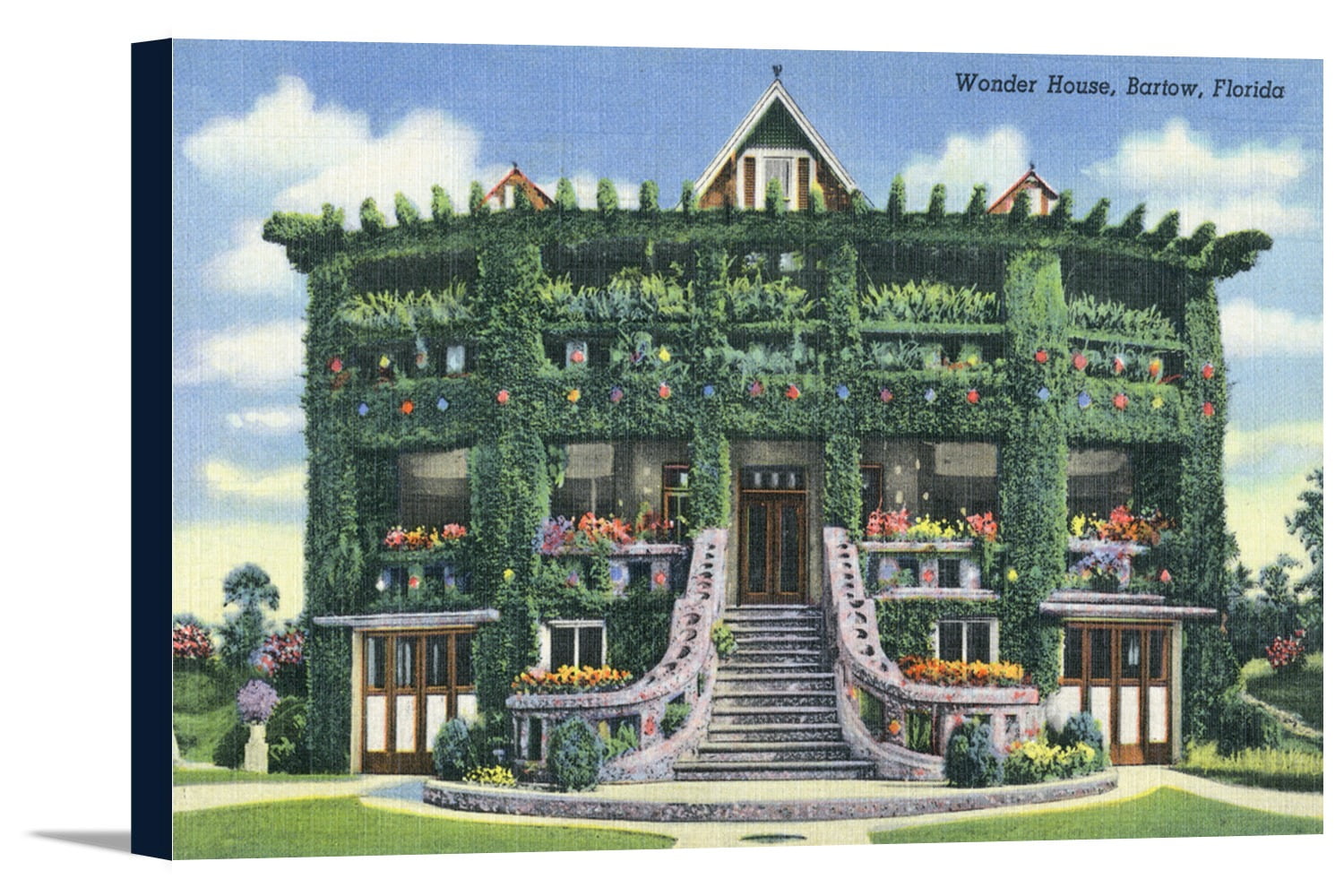 wonder house