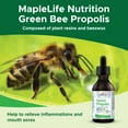 thumbnail image 2 of MapleLife Nutrition Brazil Green Bee Propolis 30 ML, 2 of 7