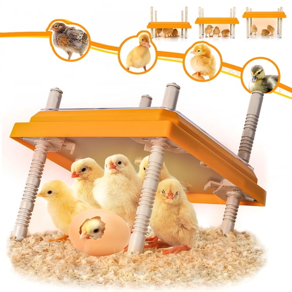 HIBIBUD Brooder Heater for Chicks, Chick Brooder Heating Plate with Adjustable Height And Angle, Chicken Brooder Plate for Up to 15 Chicks, 25 Height Options, 10" X 10"